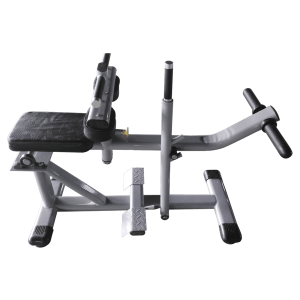 Powerline seated calf machine 2025