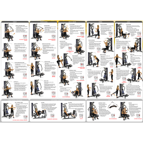 Multi gym routine hot sale