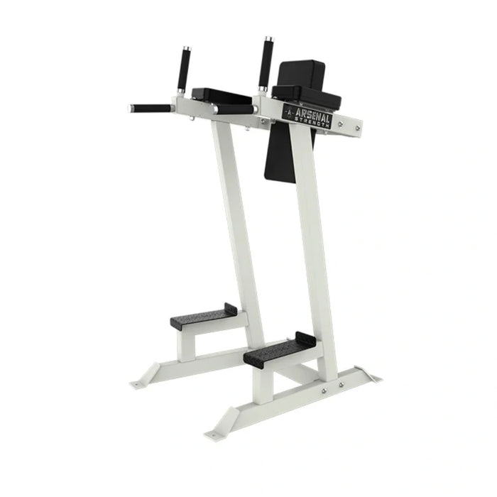 Alpha Vertical Knee Raise/Dip Station