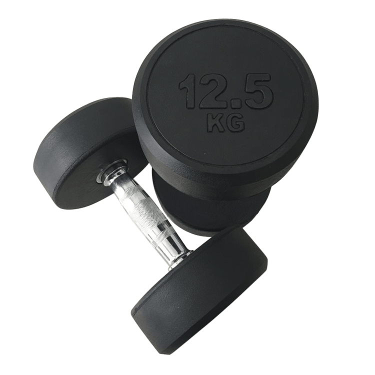 Fixed Round Head Dumbbells (2.5 - 50KG) - DirectHomeGym
