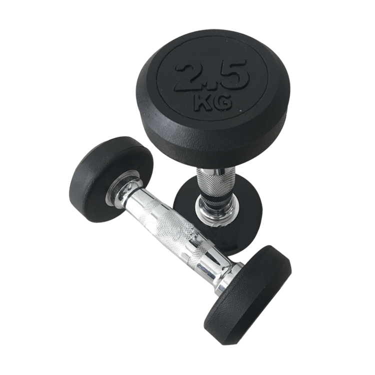 Fixed Round Head Dumbbells (2.5 - 50KG) - DirectHomeGym