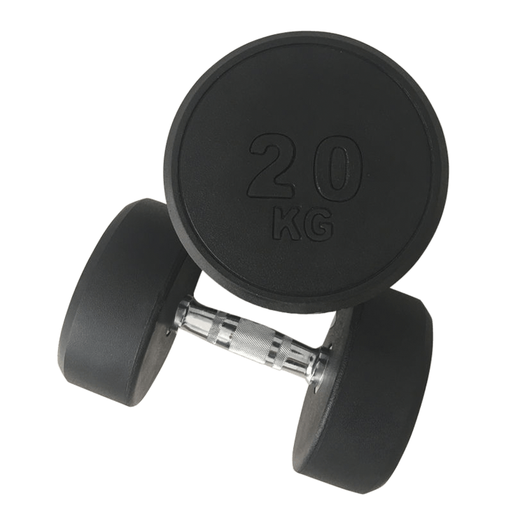 Fixed Round Head Dumbbells (2.5 - 50KG) - DirectHomeGym