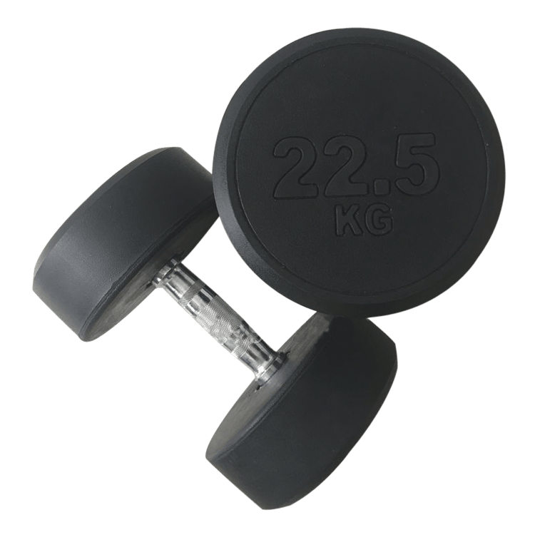 Fixed Round Head Dumbbells (2.5 - 50KG) - DirectHomeGym