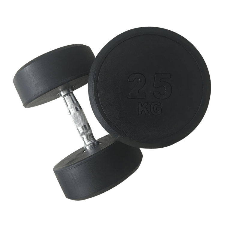 Fixed Round Head Dumbbells (2.5 - 50KG) - DirectHomeGym