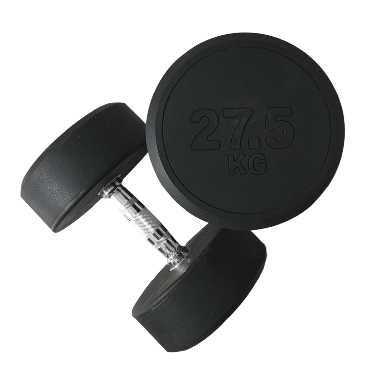 Fixed Round Head Dumbbells (2.5 - 50KG) - DirectHomeGym