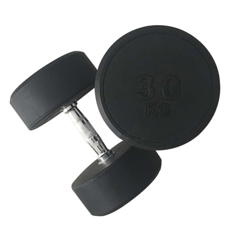 Fixed Round Head Dumbbells (2.5 - 50KG) - DirectHomeGym