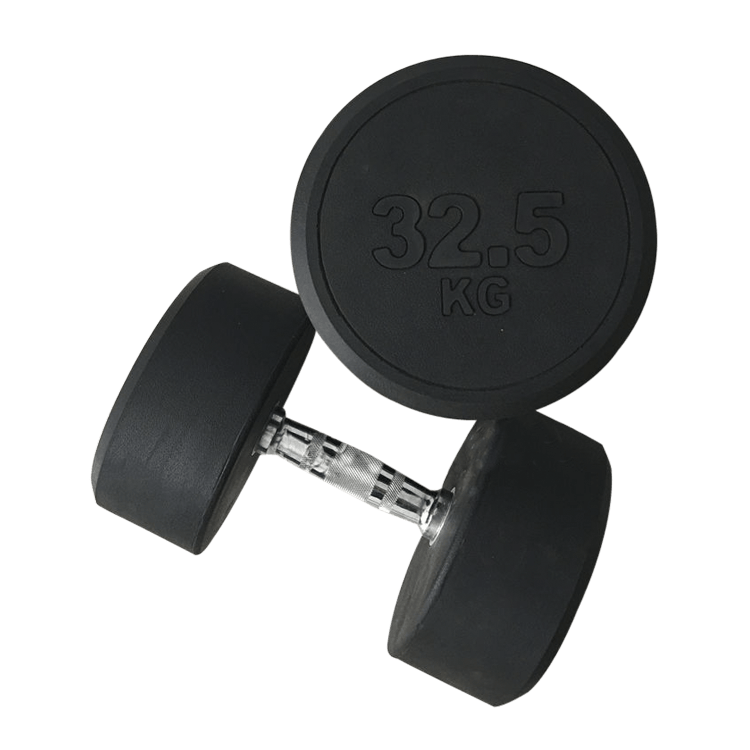 Fixed Round Head Dumbbells (2.5 - 50KG) - DirectHomeGym