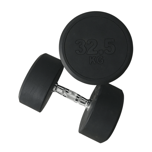 Fixed Round Head Dumbbells (2.5 - 50KG) - DirectHomeGym