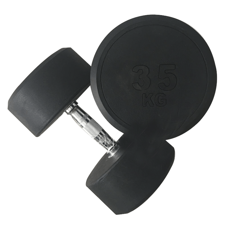Fixed Round Head Dumbbells (2.5 - 50KG) - DirectHomeGym