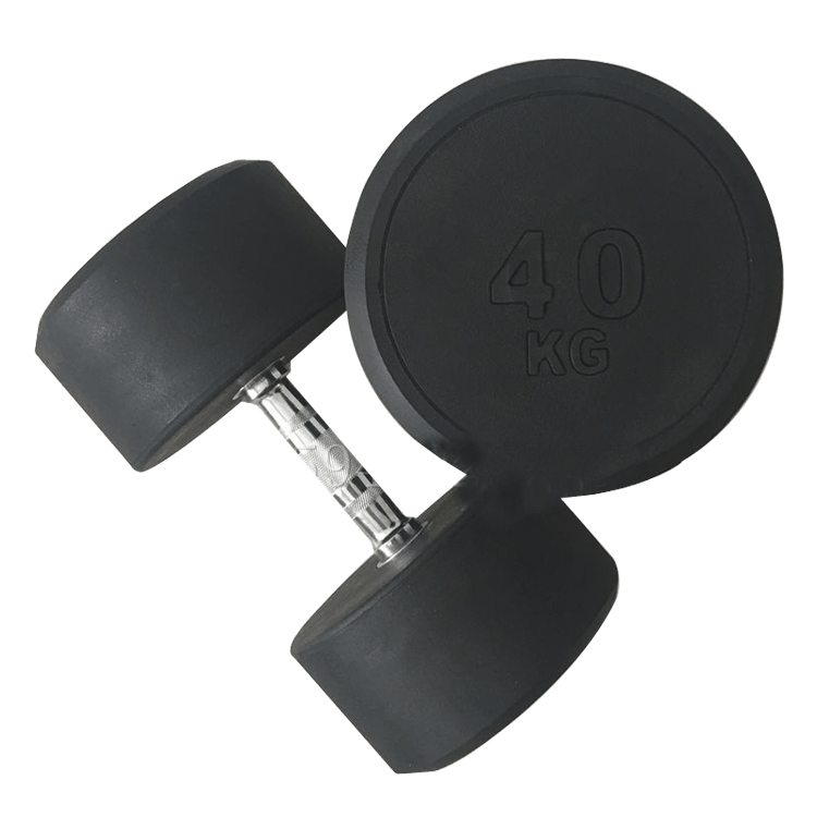 Fixed Round Head Dumbbells (2.5 - 50KG) - DirectHomeGym