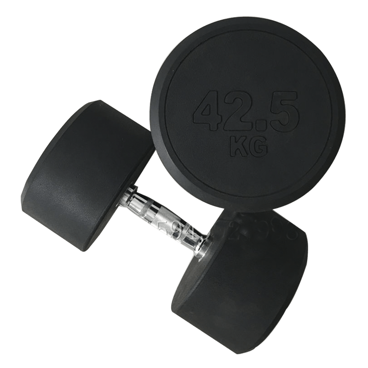 Fixed Round Head Dumbbells (2.5 - 50KG) - DirectHomeGym
