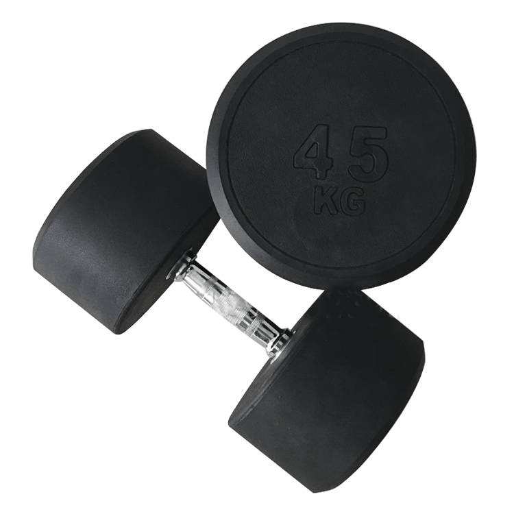Fixed Round Head Dumbbells (2.5 - 50KG) - DirectHomeGym