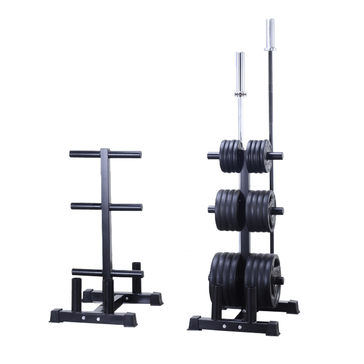 Vertical Olympic Plates and Bar Rack - DirectHomeGym