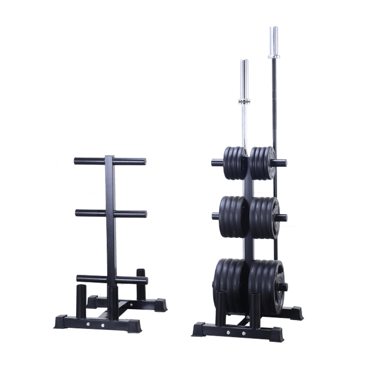 Vertical Olympic Plates and Bar Rack - DirectHomeGym