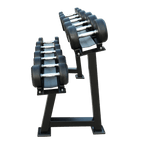 Dumbbells 2-Tier 5 Sets Storage Shelf Rack - DirectHomeGym