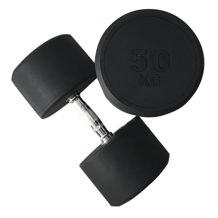 Fixed Round Head Dumbbells (2.5 - 50KG) - DirectHomeGym