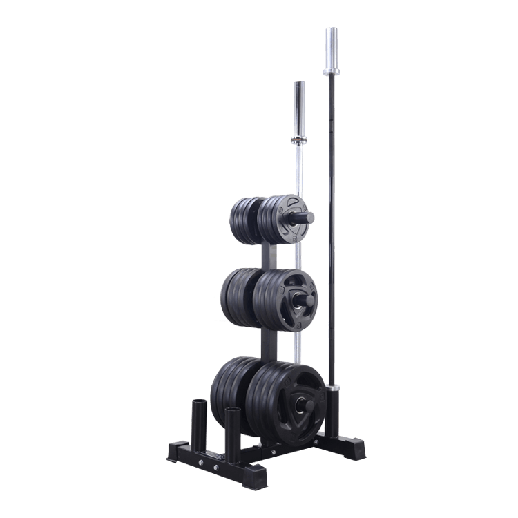 Vertical Olympic Plates and Bar Rack DirectHomeGym