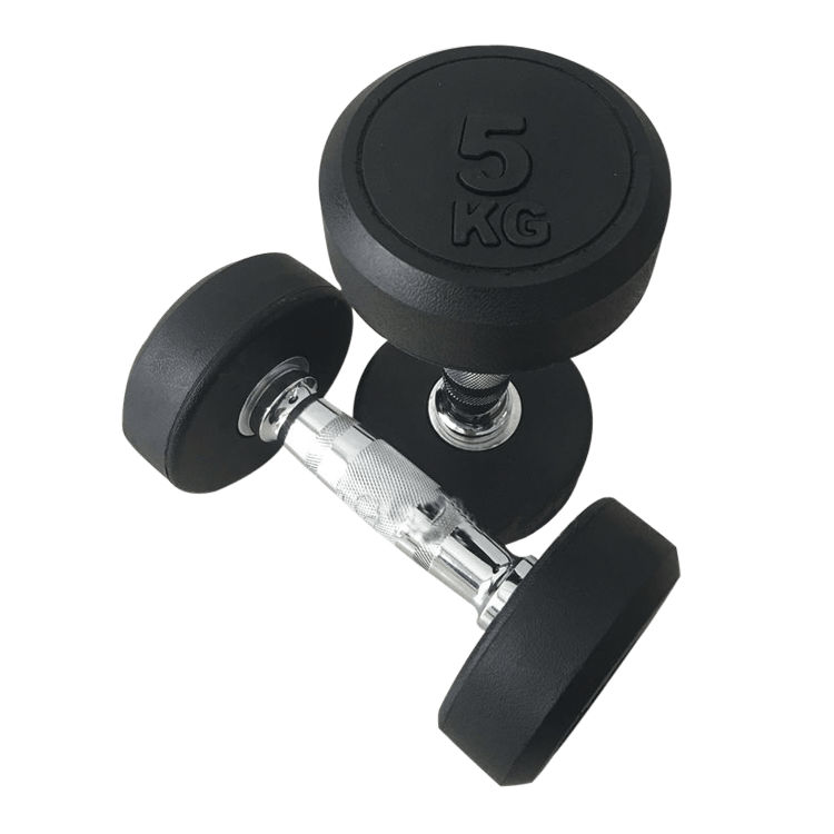Fixed Round Head Dumbbells (2.5 - 50KG) - DirectHomeGym