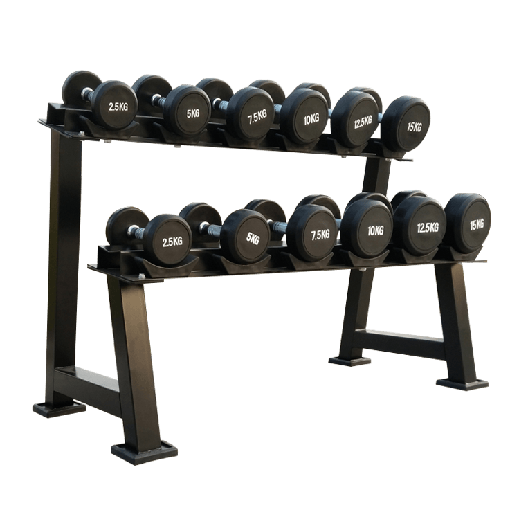 Dumbbells 2-Tier 5 Sets Storage Shelf Rack - DirectHomeGym