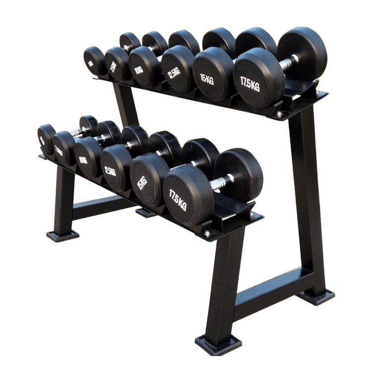 Dumbbells 2-Tier 5 Sets Storage Shelf Rack - DirectHomeGym