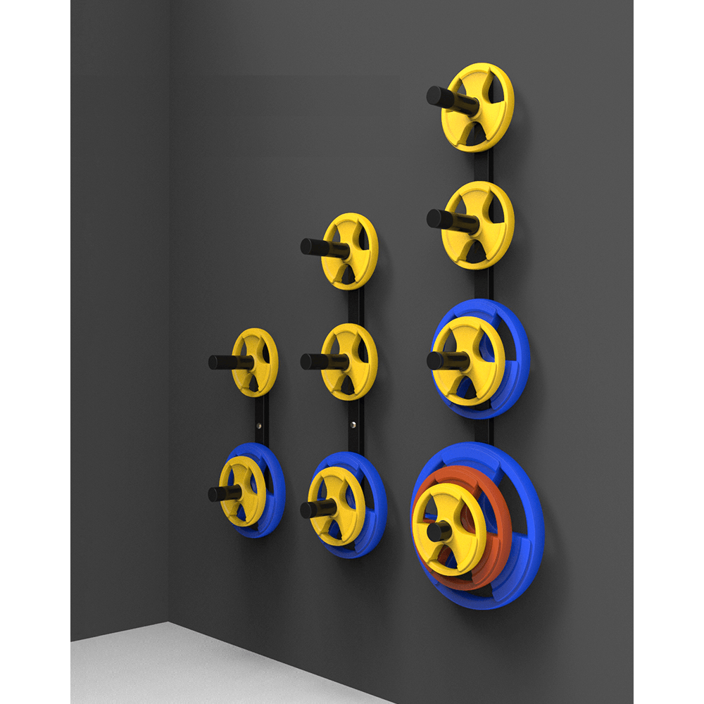 Wall Mounted Plate Storage - DirectHomeGym