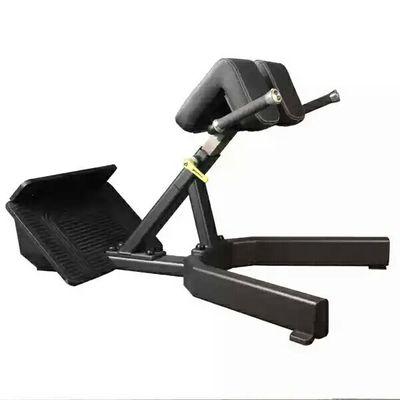 Roman Hyperextension Chair Bench - DirectHomeGym