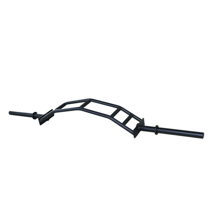 Custom Cambered Swiss Specialty Bar - DirectHomeGym