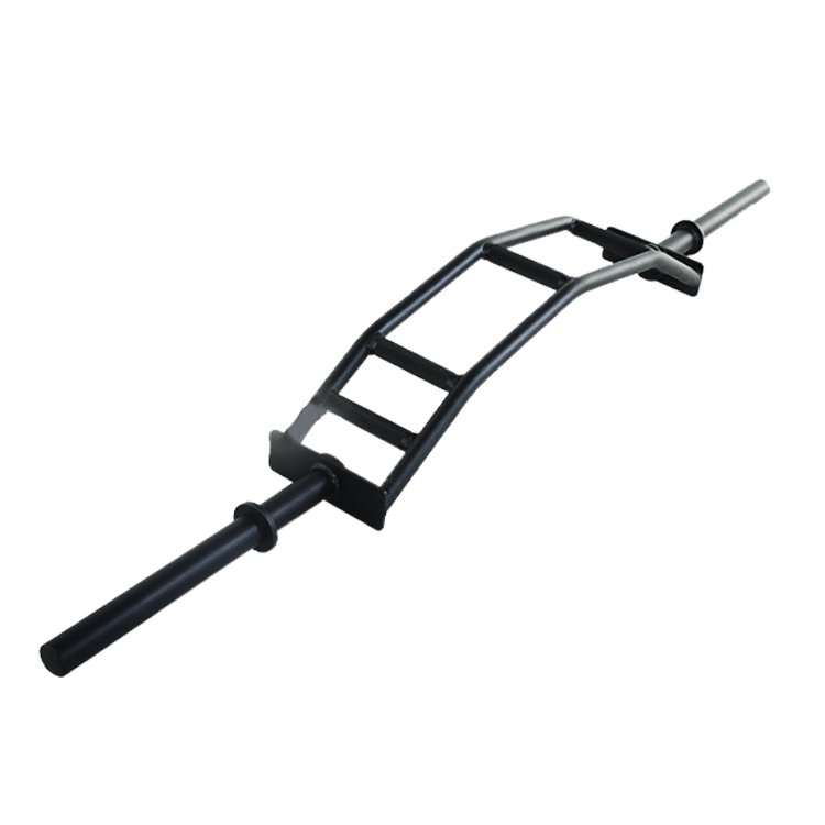 Custom Cambered Swiss Specialty Bar - DirectHomeGym