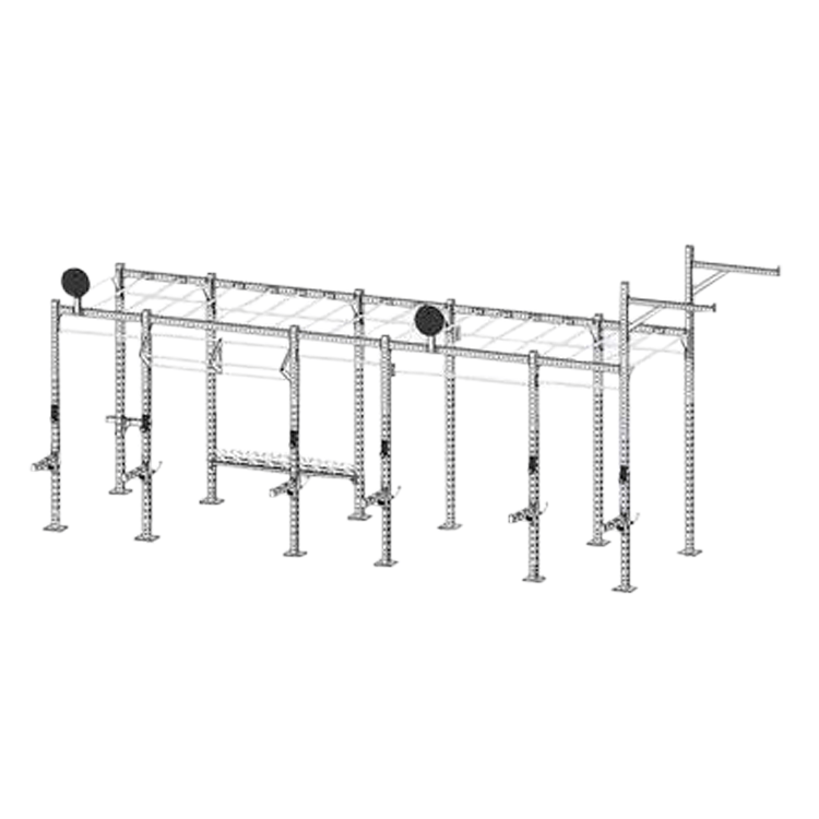 Custom Fabricated Crossfit Rig - DirectHomeGym