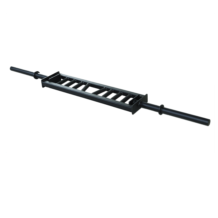 Custom Swiss Bar - DirectHomeGym