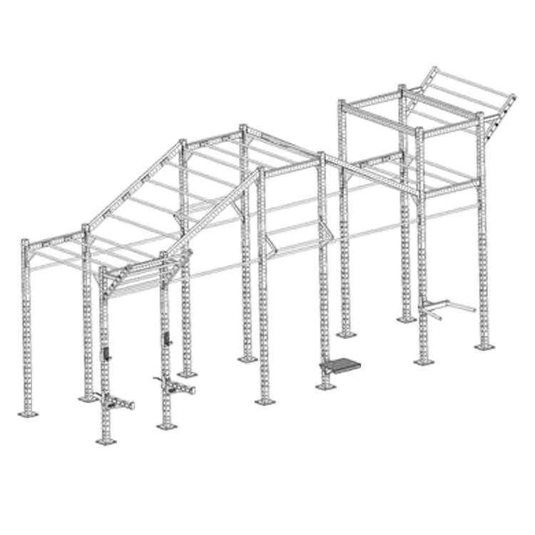 Custom Fabricated Crossfit Rig - DirectHomeGym