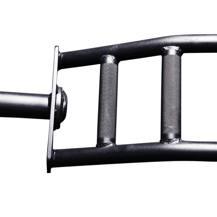 Custom Cambered Swiss Specialty Bar - DirectHomeGym