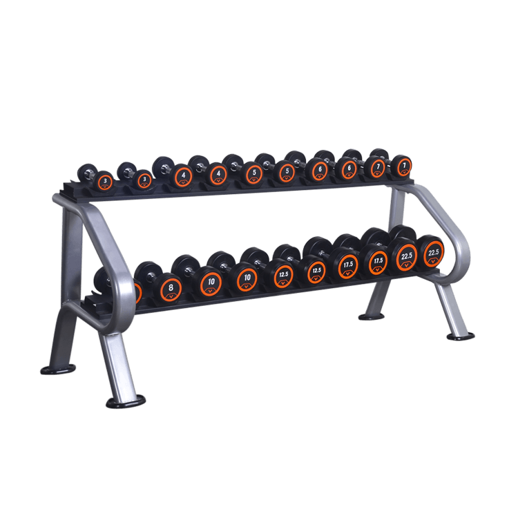 Dumbbells 6 or 10 Sets Storage Rack (2-Tier) - DirectHomeGym