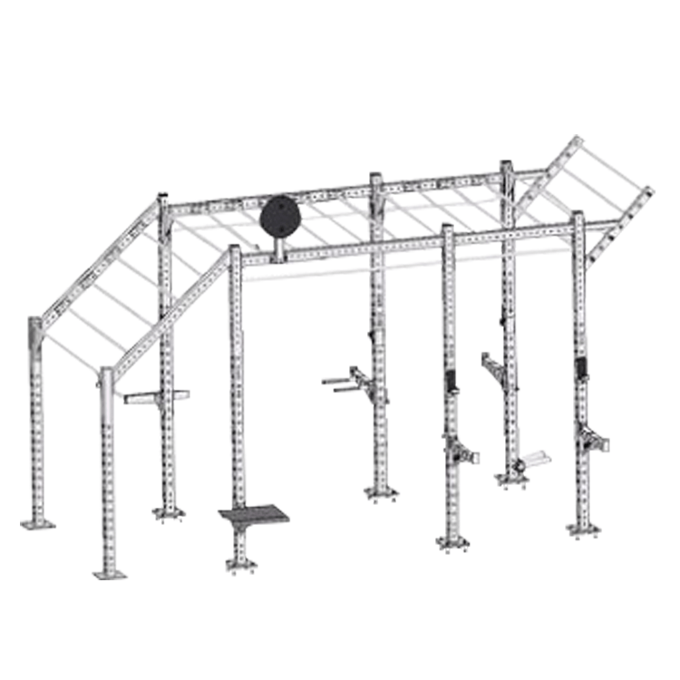 Custom Fabricated Crossfit Rig - DirectHomeGym
