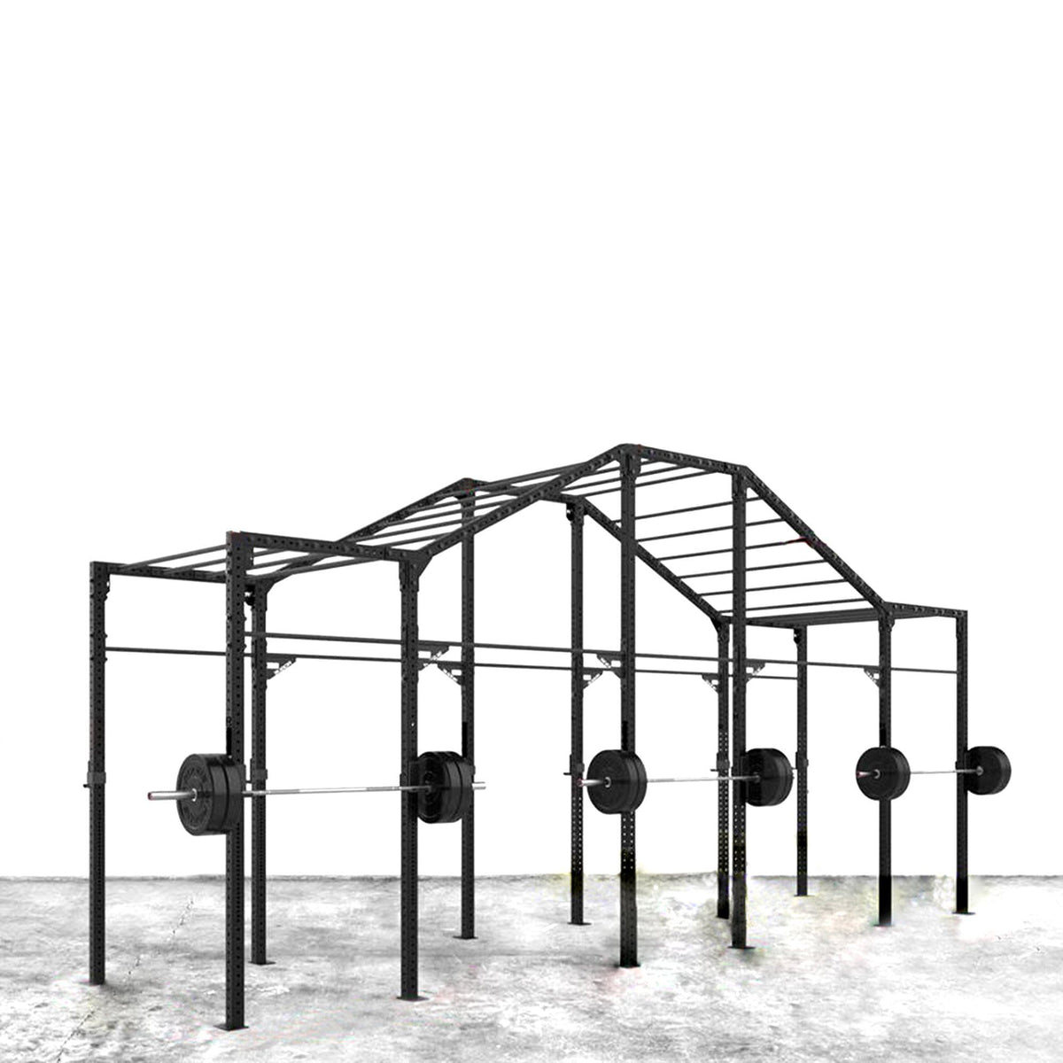 Custom Fabricated Crossfit Rig - DirectHomeGym