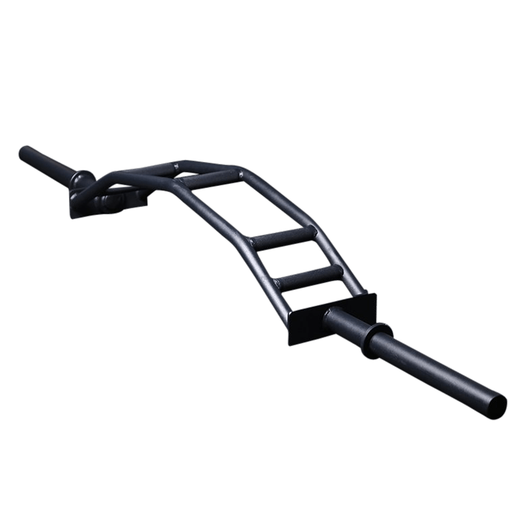 Custom Cambered Swiss Specialty Bar - DirectHomeGym