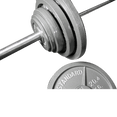 Competition Cast Iron Weight Plates (2.5lb - 45lb) - Olympic Size - DirectHomeGym