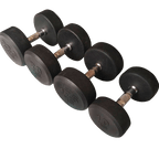 Fixed Round Head Dumbbells (2.5 - 50KG) - DirectHomeGym